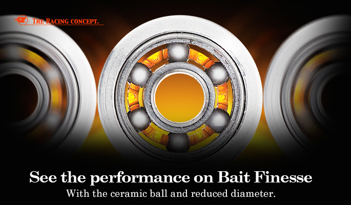 SiC Ball Bearing Finesse Concept